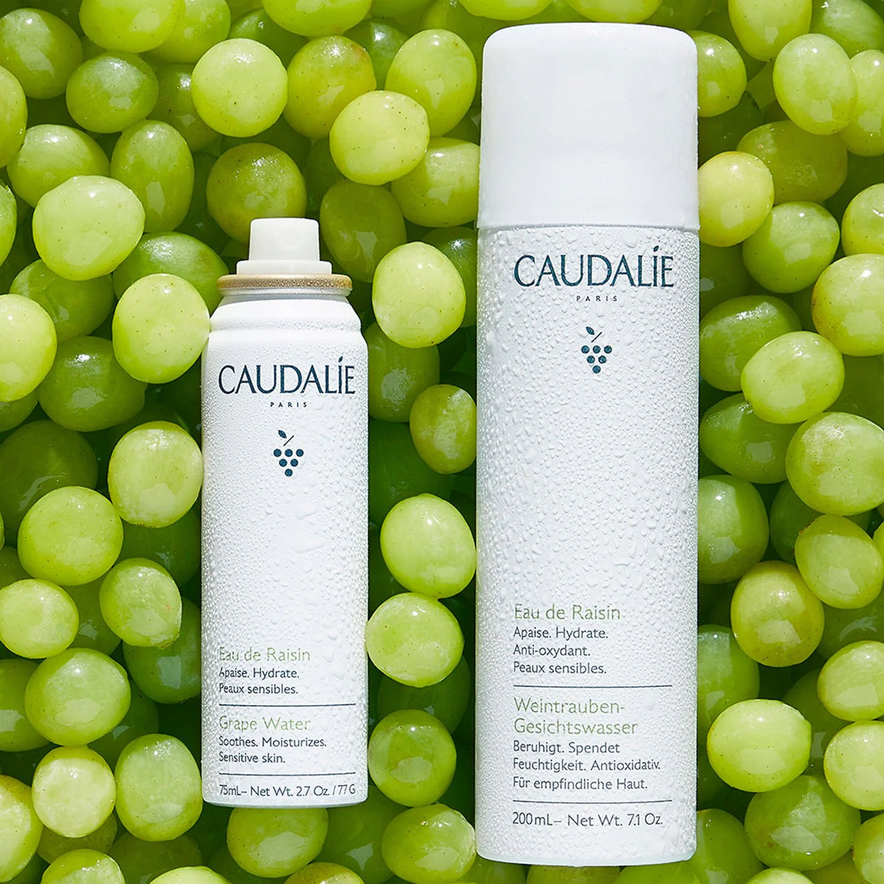 Caudalie Grape Water Moisturizing Face Mist *Pre-Orden*