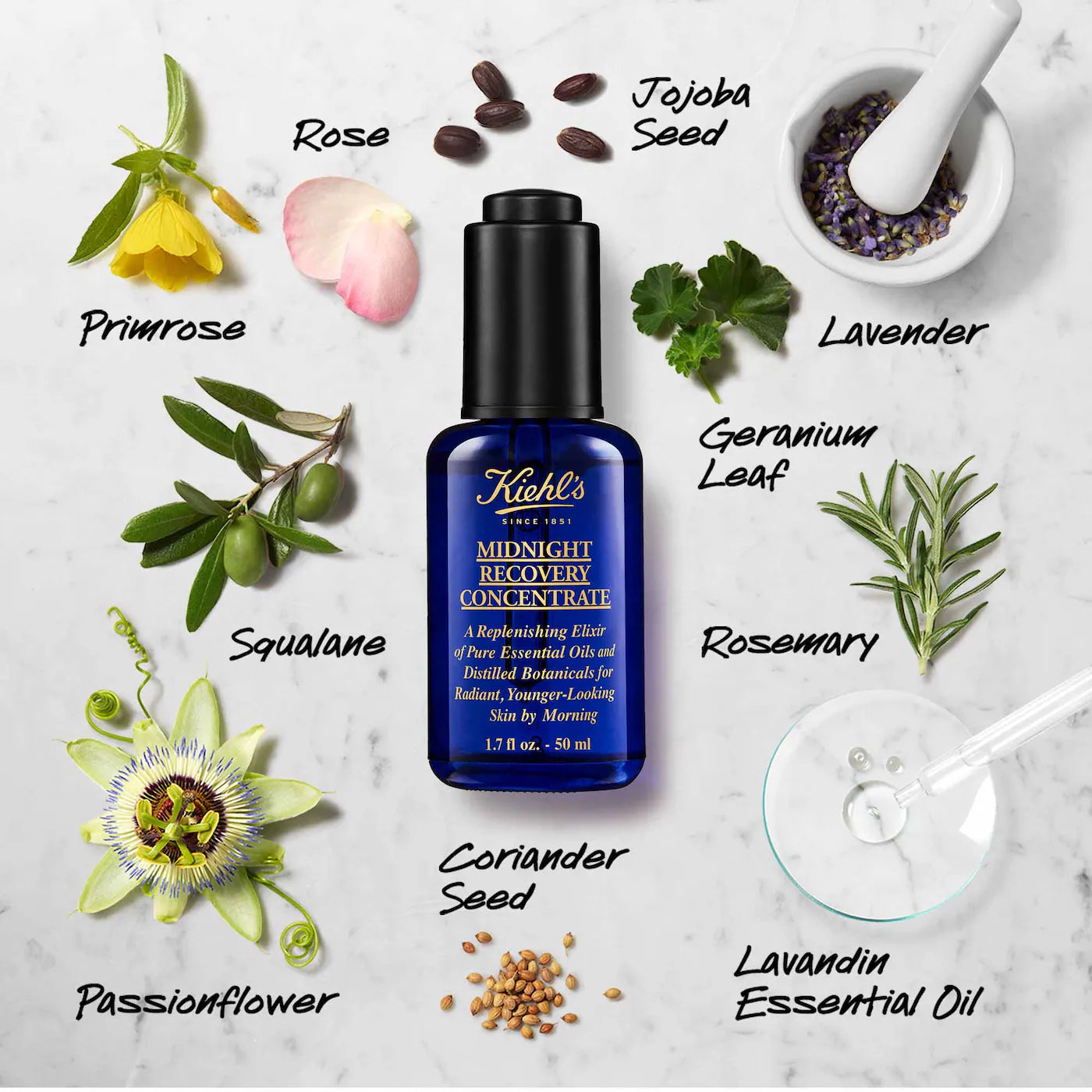 Kiehl's Midnight Recovery Concentrate Moisturizing Face Oil *Pre-Orden*