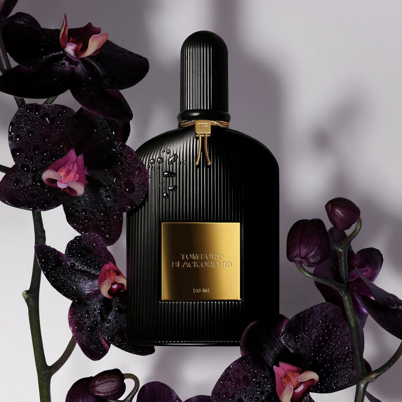 TOM FORD Black Orchid Eau de Parfum Fragrance *Pre-Orden*