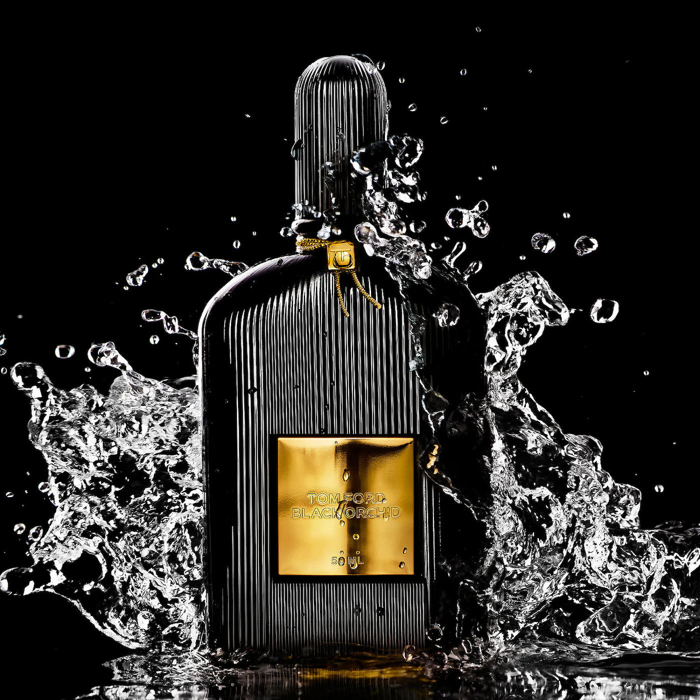 TOM FORD Black Orchid Eau de Parfum Fragrance *Pre-Orden*