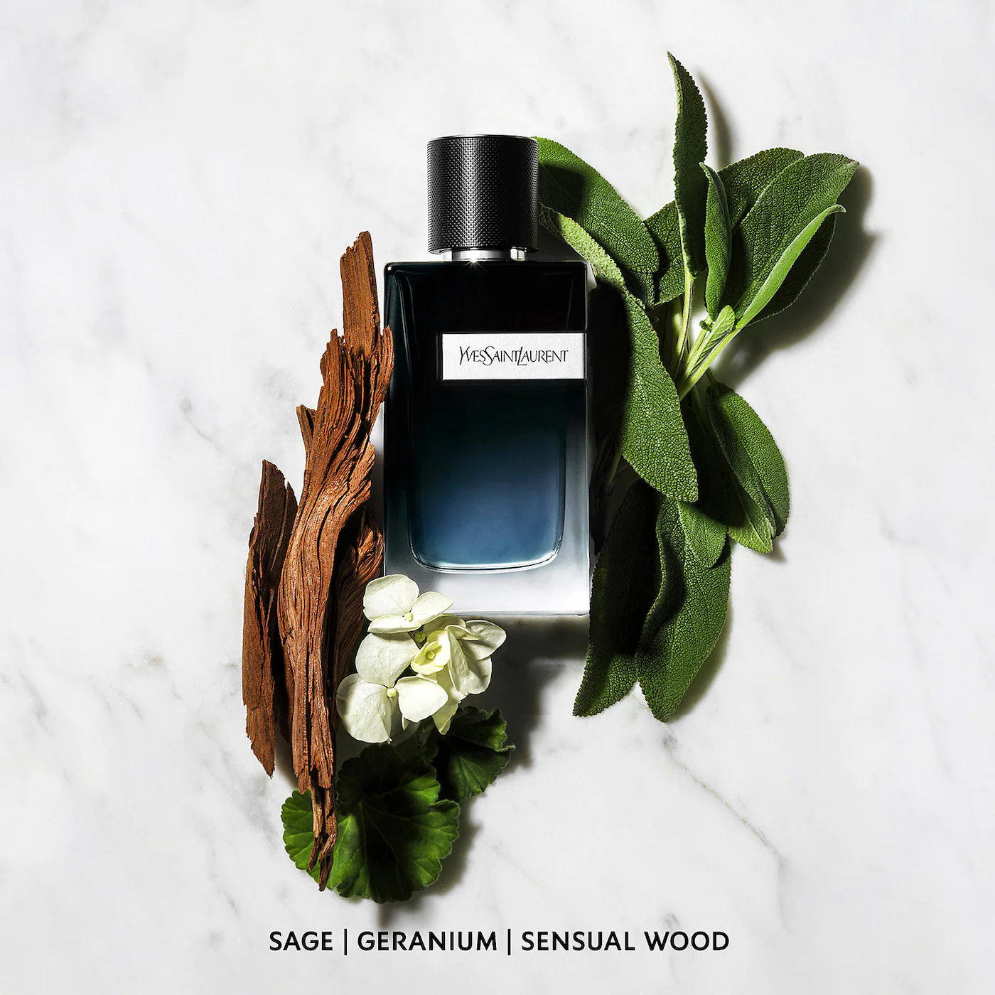 Yves Saint Laurent Y Eau de Parfum *Pre-Orden*