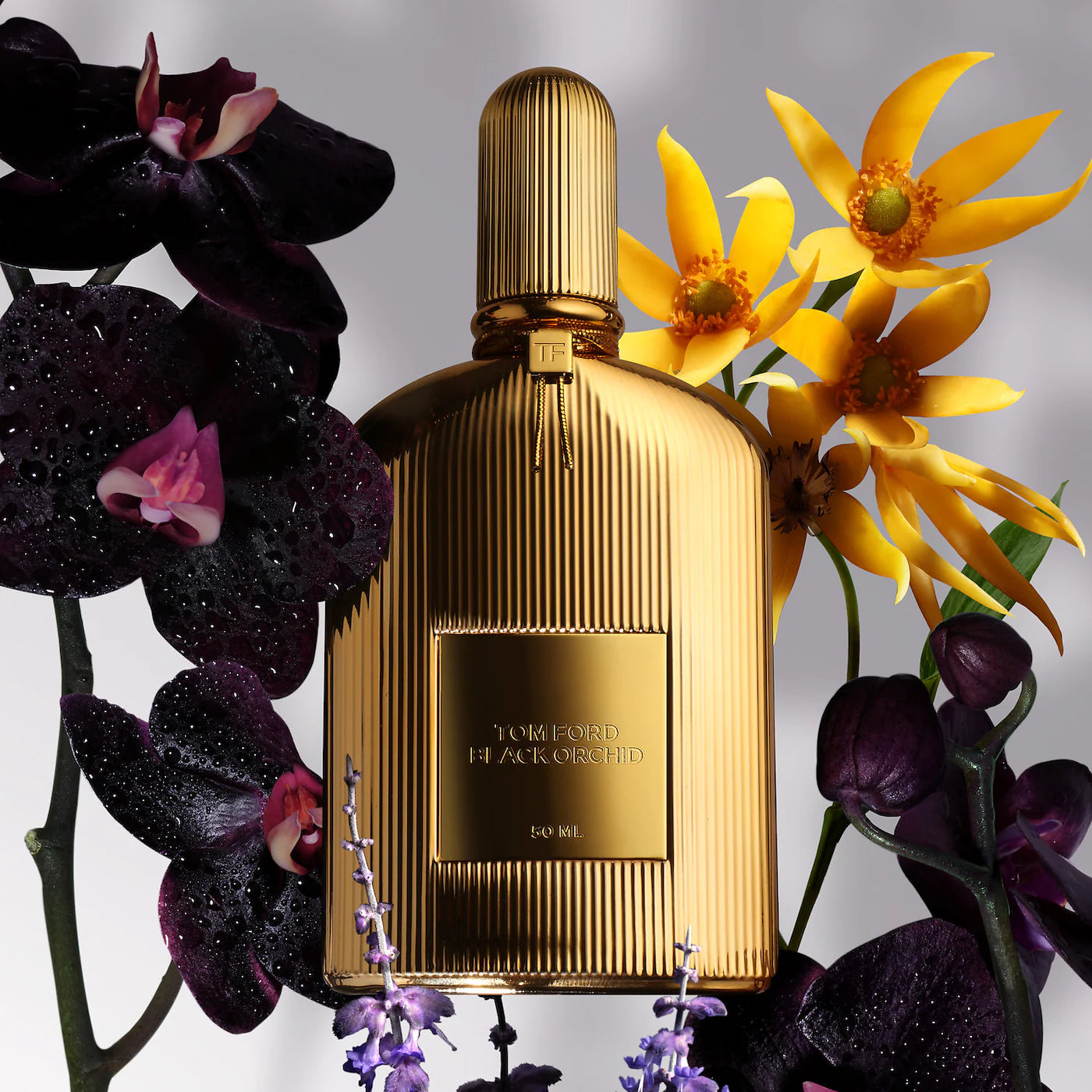 TOM FORD Black Orchid Parfum Fragrance *Pre-Orden*