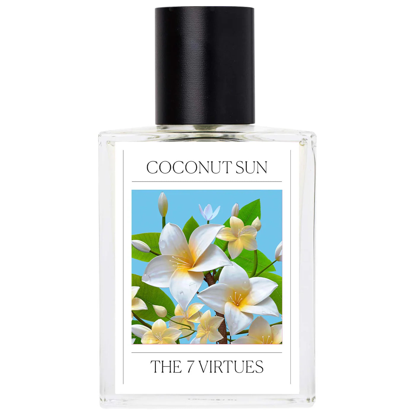 The 7 Virtues Coconut Sun Eau de Parfum *Pre Orden*