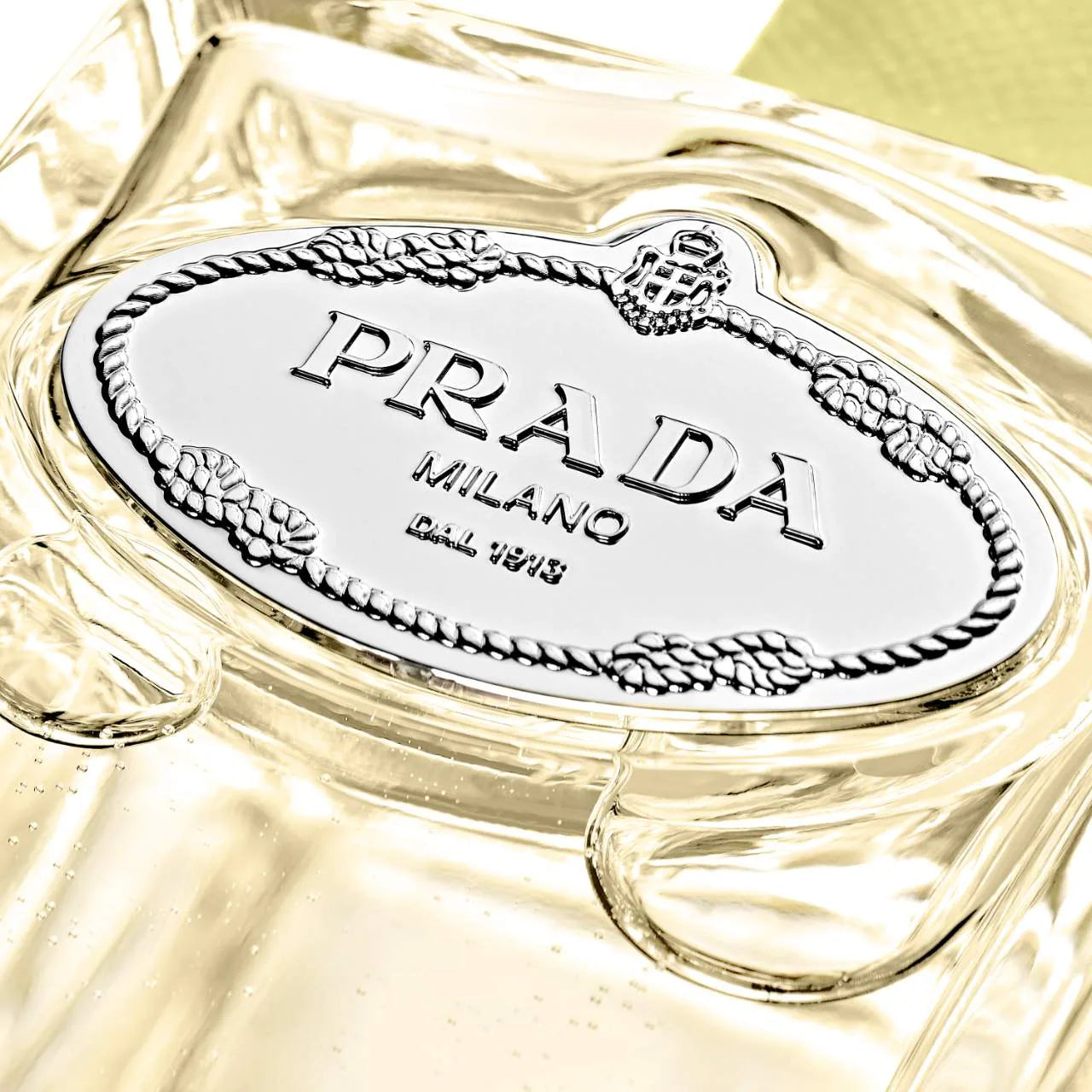 Prada Infusion Gingembre Eau de Parfum *Pre-Orden*