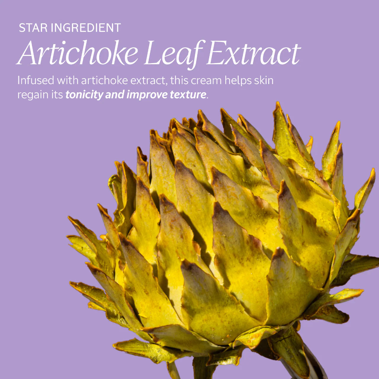 L'Occitane Redefining and Cellulite-Reducing Artichoke Body Cream *Pre-Orden*