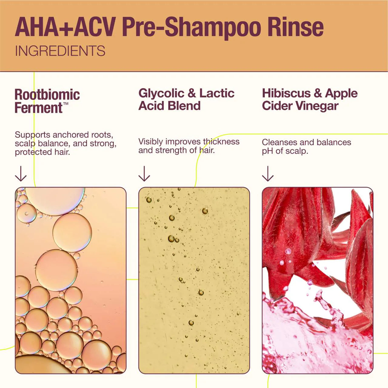 The Rootist AHA+ACV Pre-Shampoo Scalp Clarifying Treatment *Pre-Orden*