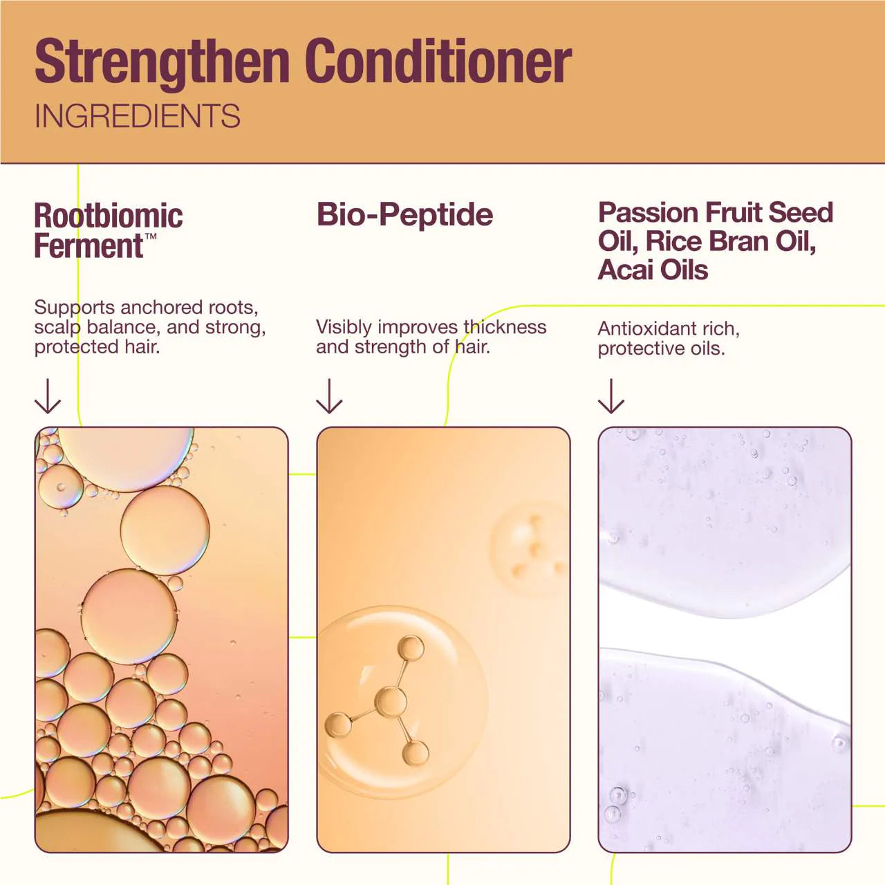 The Rootist Strengthen Concentrated Peptide Conditioner *Pre-Orden*