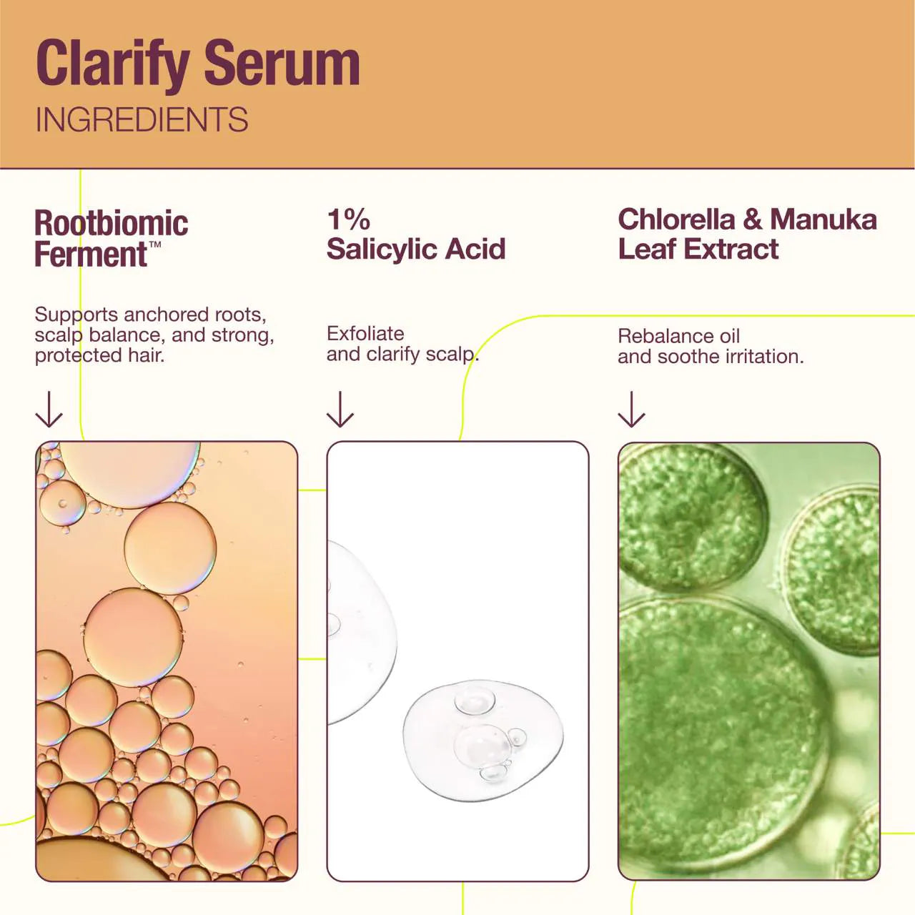 The Rootist Clarify Balancing Serum for Oily Scalp *Pre-Orden*